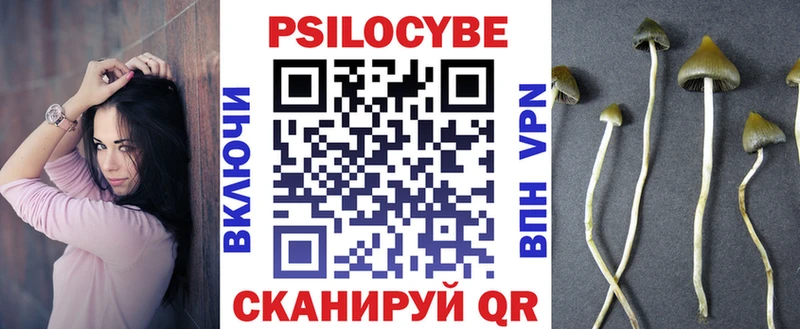 продажа наркотиков  ссылка на мегу tor  Галлюциногенные грибы Psilocybine cubensis  Рузаевка 