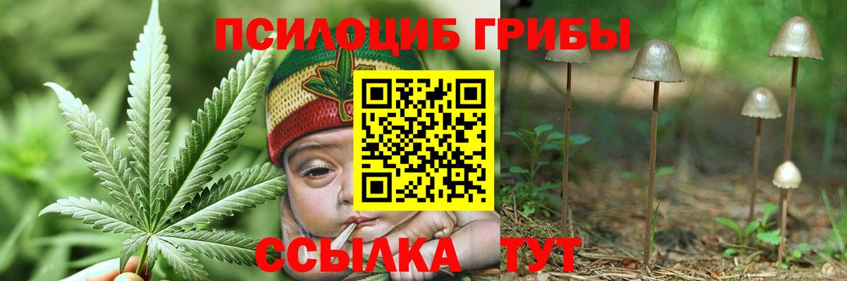 Галлюциногенные грибы MAGIC MUSHROOMS  Рузаевка 