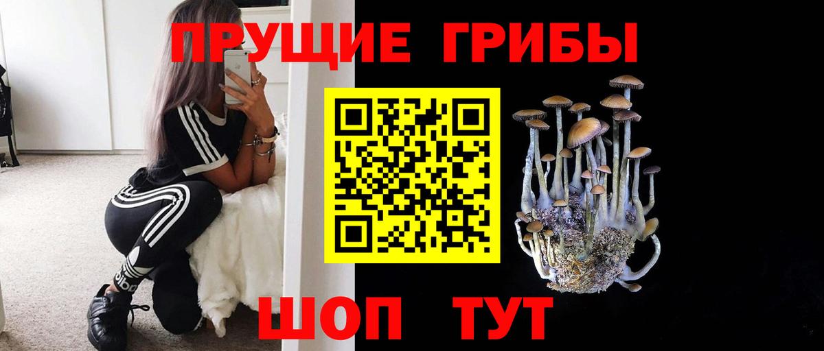 Галлюциногенные грибы Cubensis Рузаевка